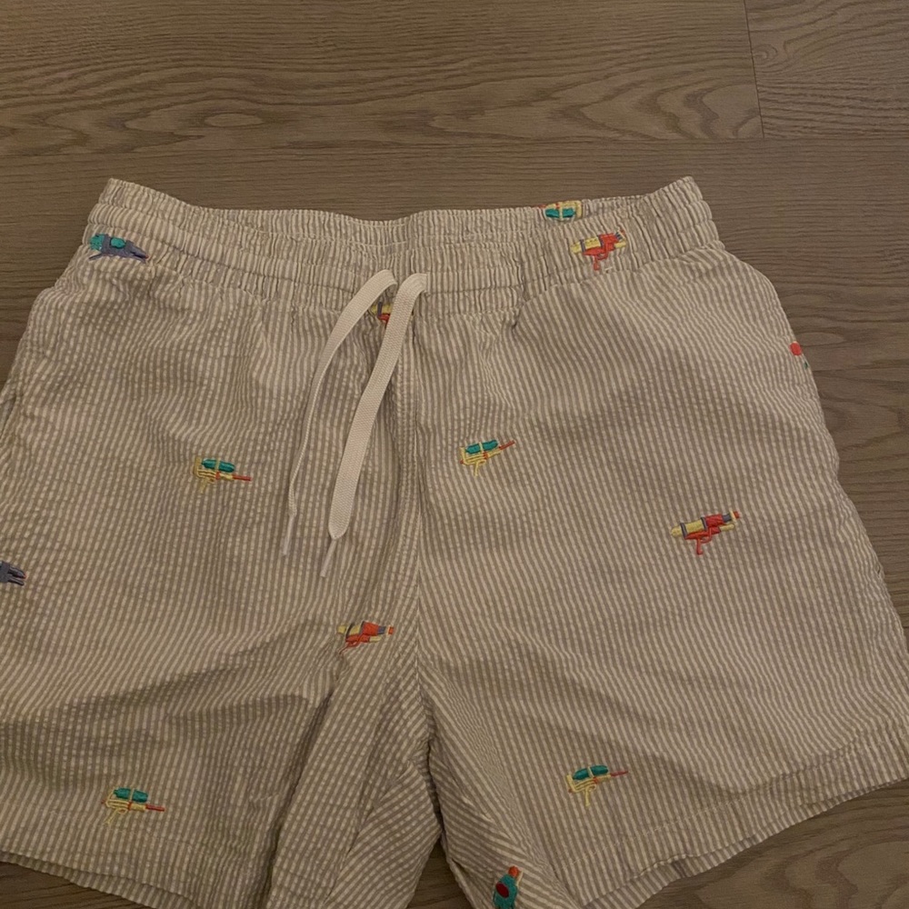 Men’s Chubbies swim trunks